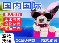 琼海空运地址国际宠物托运 【国